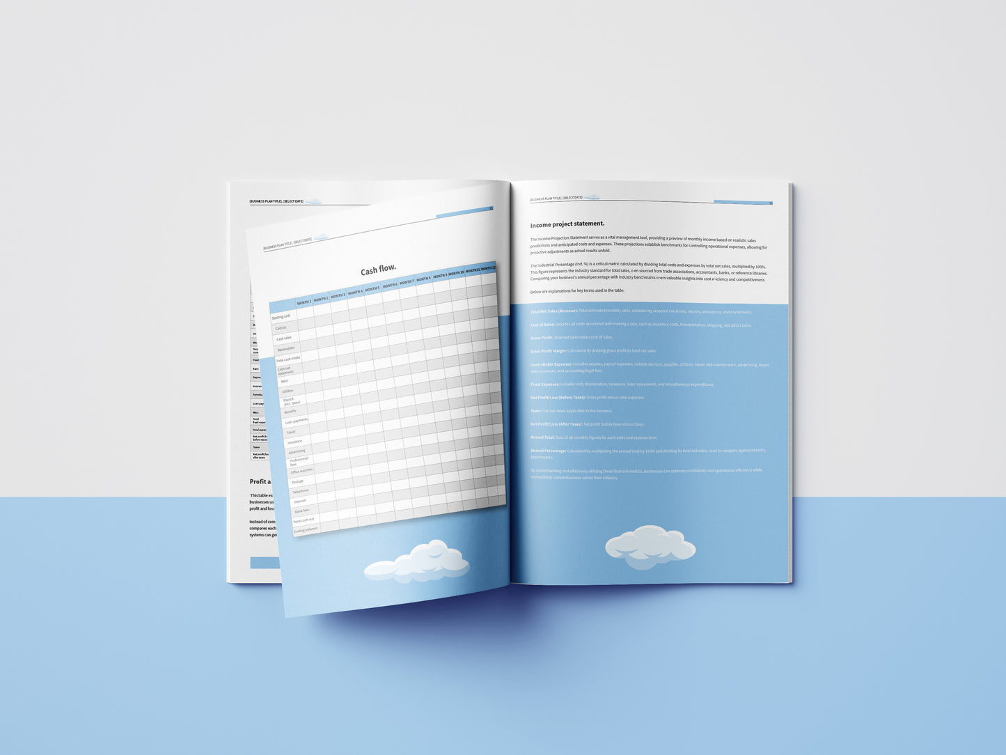 5 Year Start-Up Business Plan Template